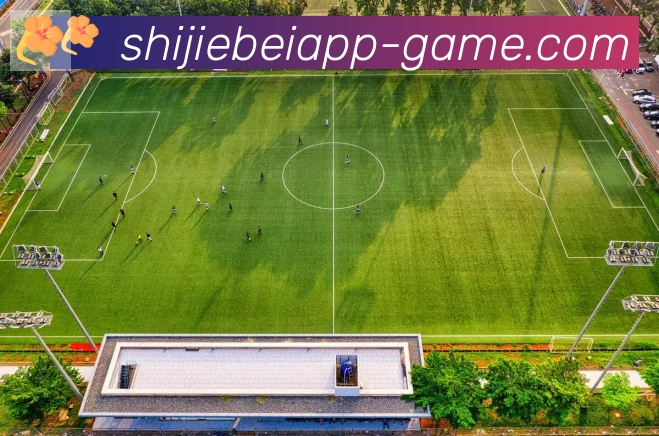APP界面展示